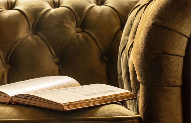 The Forest at Mount Congreve Gardens - Foto 77