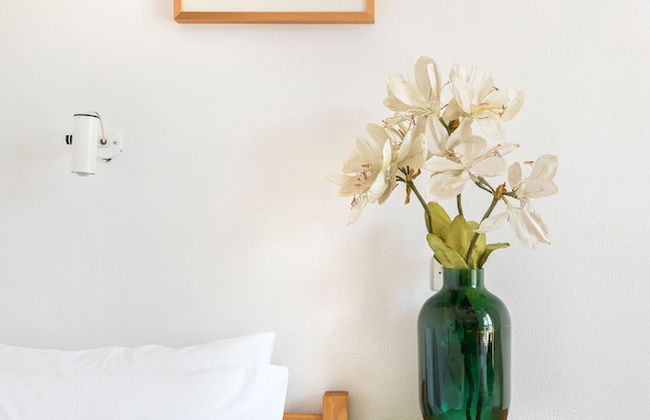 White Bluebell - Foto 7