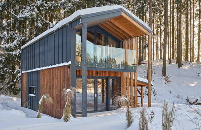 Luxe Timber Lodge & Pet Retreat - Photo 62