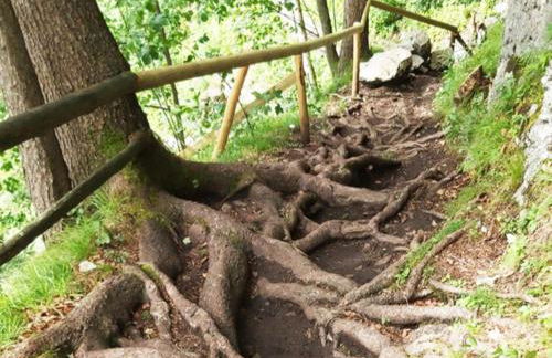 Landhaus Glücksmoment - Foto 11