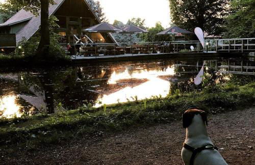 Ferienwohnung-Willgeroth - Foto 11