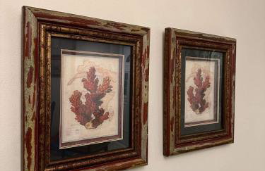 Forest Tzoumerka - Foto 12