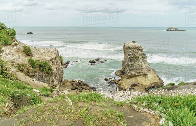 Spectacular Hilltop Retreat near Piha - Foto 43