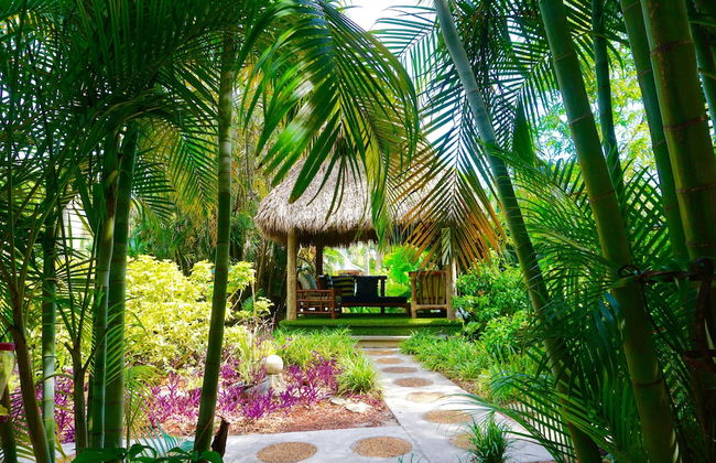 Riverside by the Beach Apartments - Foto 28