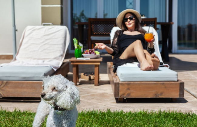 Sunny Villas Resort & Spa - Foto 52