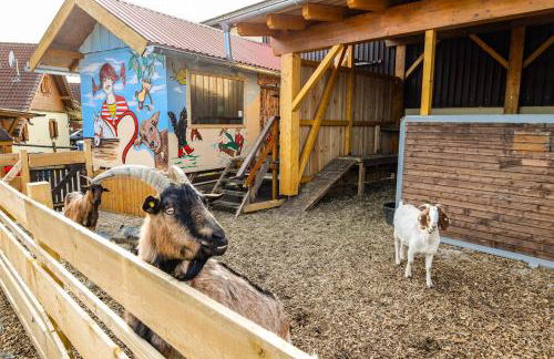 Ferienhof Kosertal - Erlebnisbauernhof, Reitstall & Spa - Foto 10