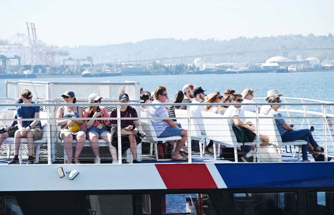 Avistamiento de ballenas en Seattle - Foto 4