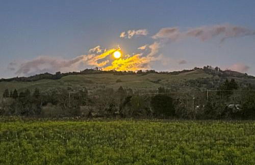 Magnolia Ranch Vineyards - Foto 25