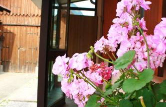 Charming House in Pontebba, Mountain View, Enclosed Garden - Foto 13