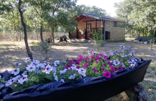 Cabañas Vallecino - Foto 12