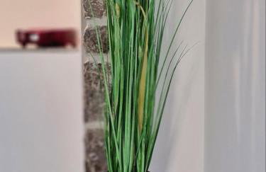 Apartment D&D - Photo 40