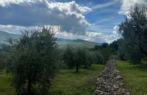 Collepetrucci - Foto 9