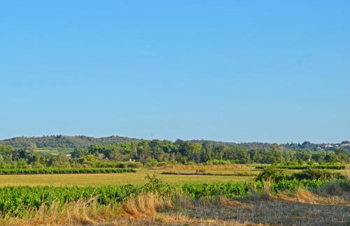 Le Jardin des Copains - Photo 22