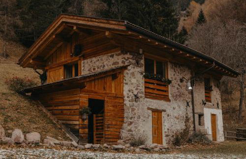 Odomi maso nel bosco - Eleganza e Relax nella Natura - Foto 112