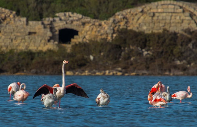 3178 Residence La Scogliera - Monolocale by Barbarhouse - Foto 15