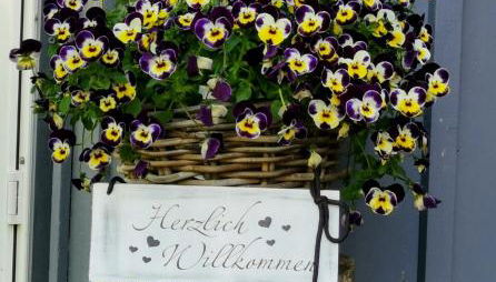 Ferienhaus am Eisgraben - Foto 3