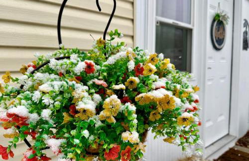 Romantic King Bed, Heart Shaped Hot Tub, Fire Pit - Foto 16