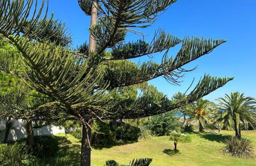 Résidence les chênes - Foto 25