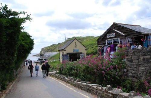 2-6 guests Holiday Home in Durdle Door - Foto 19