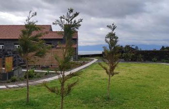 Cá Por Casa Pico-Faia - Photo 19