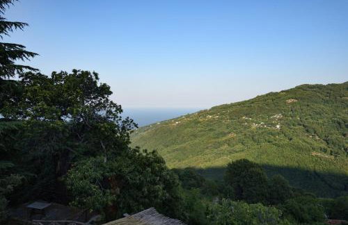 Kissos Experience - Foto 22