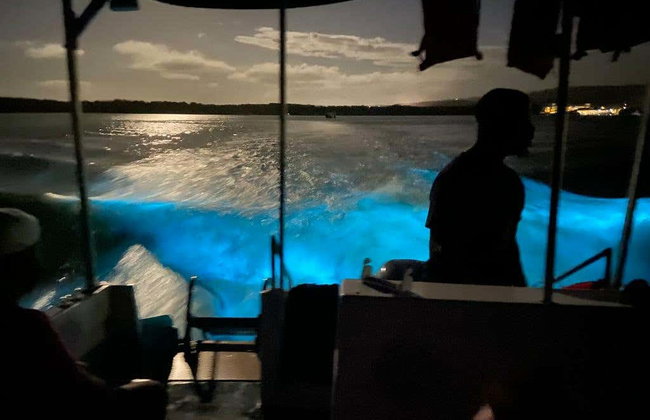 Luminous Lagoon Night Cruise - Foto 2