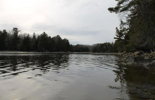 Log Cabin on Saltwater Cove - Foto 22