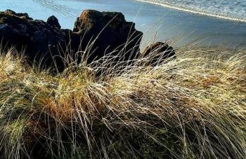 Portballintrae 3 bedroom cosy coastal bungalow - Foto 28