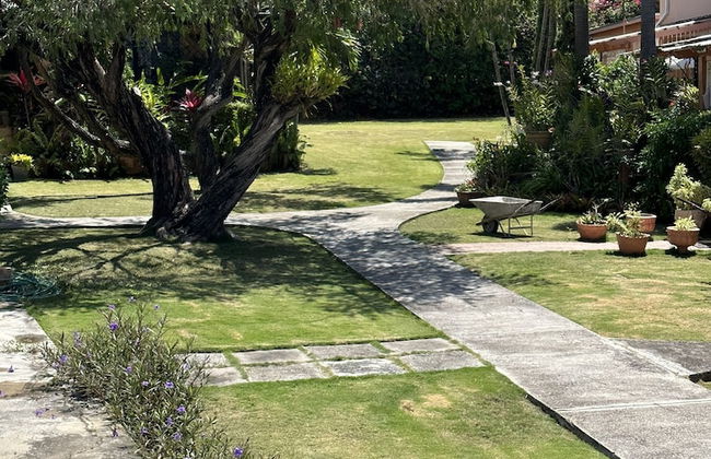 Remarkable 1-bed Apartment in Montego Bay - Photo 22