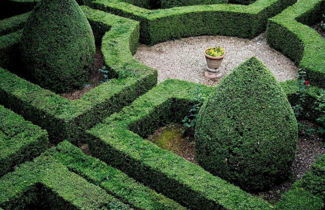 Casa Ruffino - Foto 44