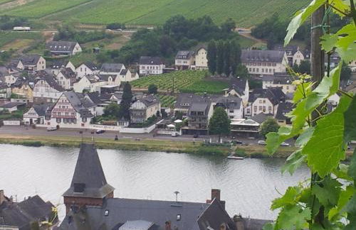 "Ferienhaus An der Mosel" - Foto 68