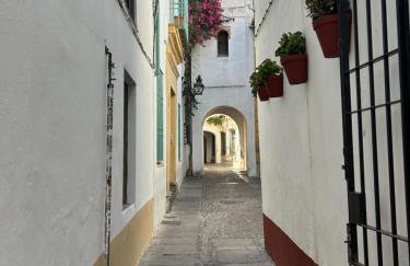 El Balcón de La Juderia - Photo 16