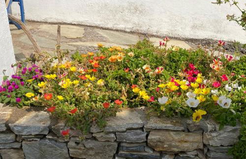 Two sisters - Foto 7