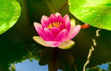 La Casetta - Foto 21