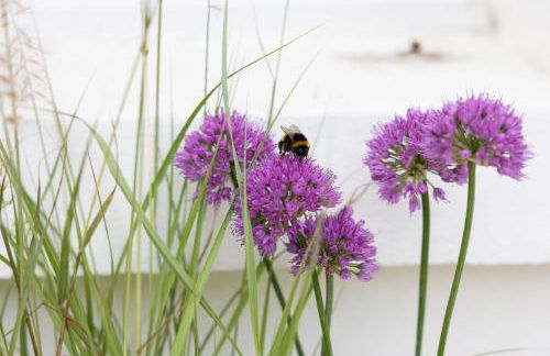 Lyminster Court Cottages - Foto 71