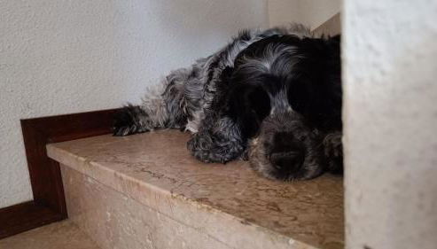 Fiordo Appartamento 1331 Isola di Albarella - Foto 2