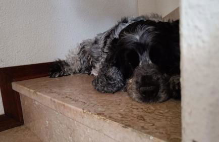 Fiordo Appartamento 1331 Isola di Albarella - Foto 2