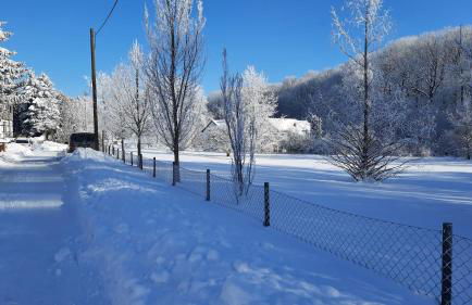 Ferienwohnung Obermühle - Photo 11