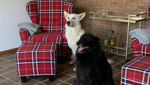 Ostfreesenhuus Vier Pfoten - Foto 4