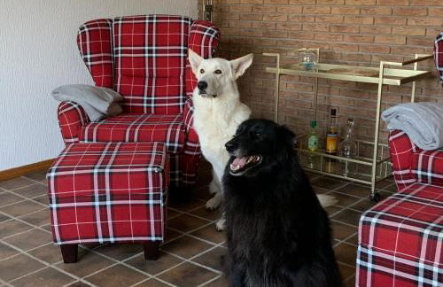 Ostfreesenhuus Vier Pfoten - Foto 4