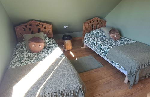 Proche châteaux de la Loire zoo Beauval gite de sologne 3 étoiles - Photo 9