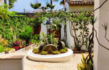 Quinta dos Amigos - Foto 91