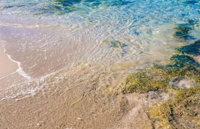 isola bianca - Foto 55