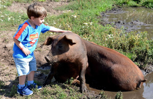 Nymarksminde Apartments & Farmpark - Foto 35