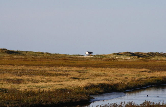 Reihenhaus, St. Peter - Ording - Photo 17