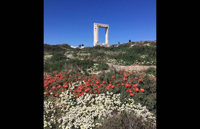 Studio Seagull - By Old Market Street - Naxos Town - Foto 23