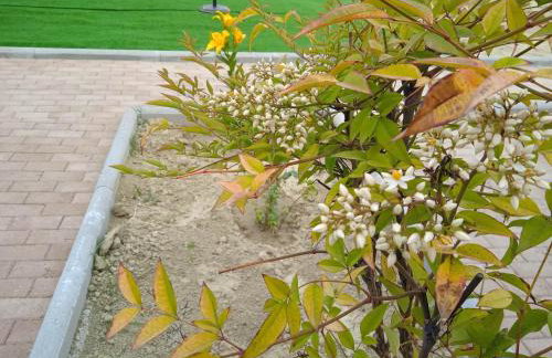 sylias village - Photo 21