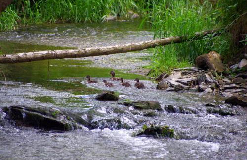 Erholung am Wörsbachtal - Foto 19