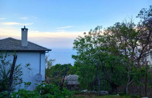 Katafigio Home in Tsagkarada Village - Foto 47