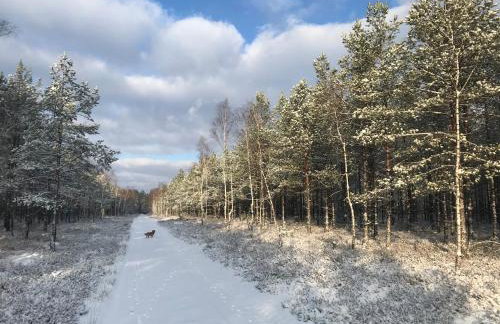 Domek Walentinki - Foto 31